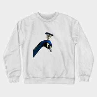 Peacock Bird Portrait Close-up 1 Crewneck Sweatshirt